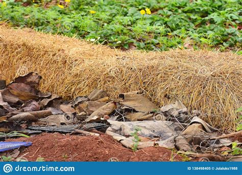 Hay bale in garden stock image. Image of brown, natural - 138498405