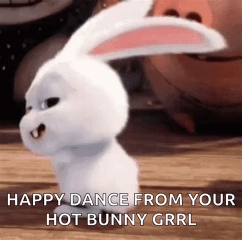 Bunny Happy Dance GIF - Bunny HappyDance SecretLifeOfPets - Discover ...