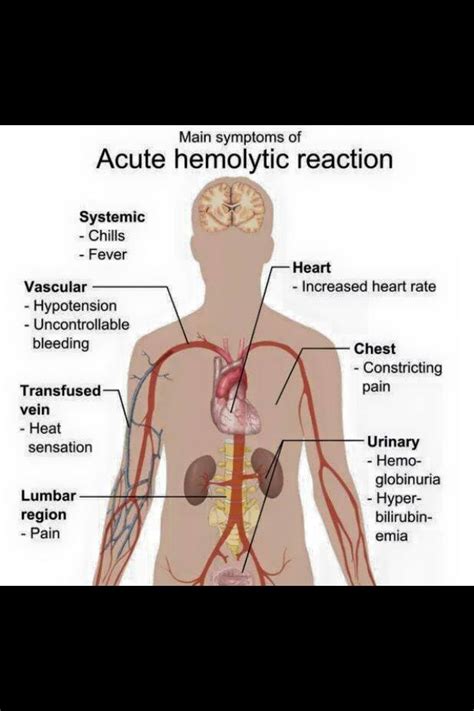 Symptoms of hemolytic reaction | Medical massage, Medical, Medicine journal