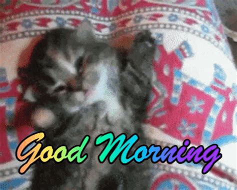 Good Morning GIFs - Get the best GIF on GIPHY