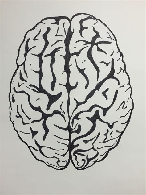 Brain Pencil Drawing at PaintingValley.com | Explore collection of ...