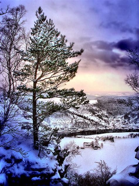 Cold Black Forest | Winter scenery, Winter scenes, Winter wonder