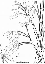 Great coloring page bamboo Plants  Free pages sketch template