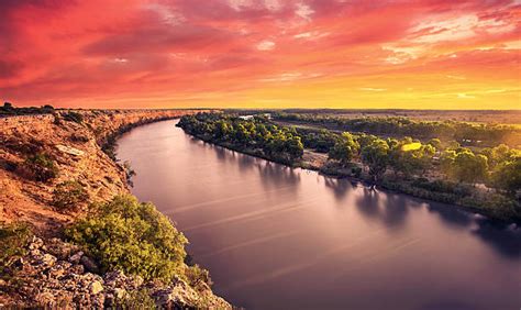 590+ Murray River South Australia Stock Photos, Pictures & Royalty-Free Images - iStock