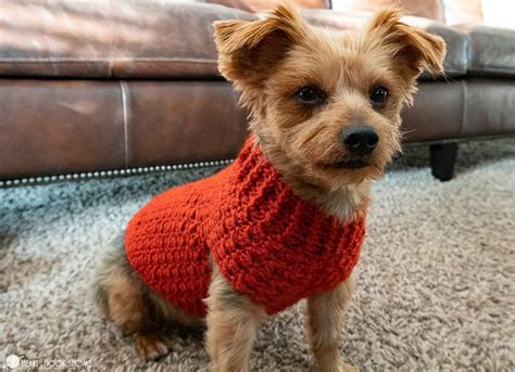 Small Dog Sweaters Wholesale Clearance | predictnow.ai