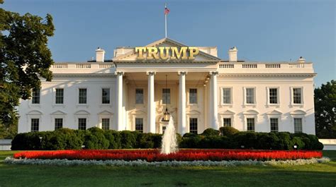 Donald Trump's road to the White House reveals America's true self ...