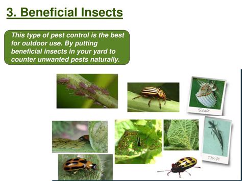 PPT - Various Types Of Pest Control Methods PowerPoint Presentation, free download - ID:7116255