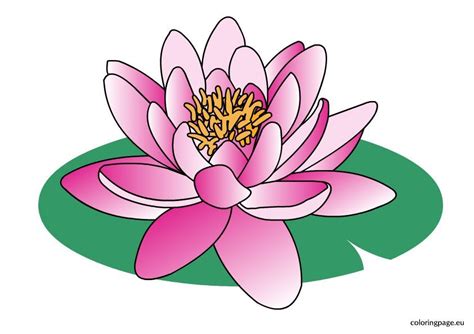 Water lily clipart | Coloring Page