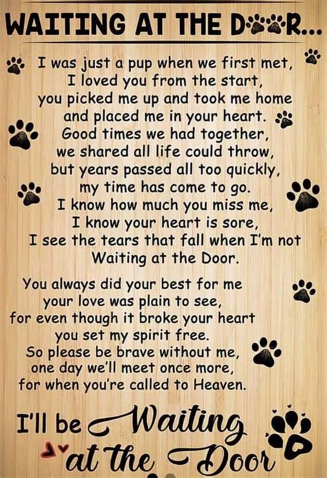 Pin by Diane Cook on Dog treats | Dog quotes love, Dog poems, Losing a dog quotes