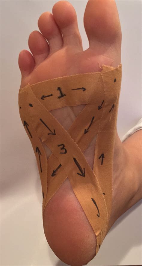 part of foot plantar