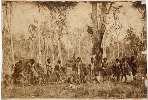 Mid-North Coast: Photographs of Bundjalung people, Richmond River, NSW ...