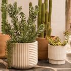 Fluted Ceramic Indoor/Outdoor Planters | West Elm