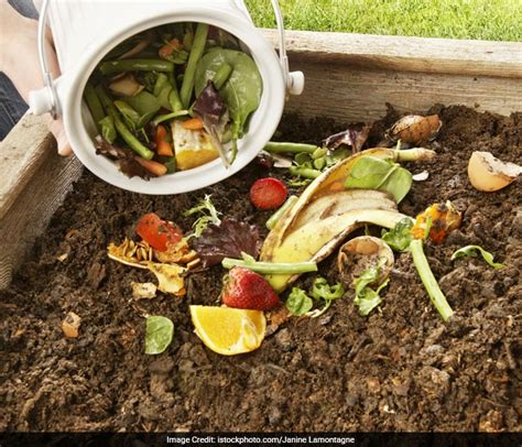 5 Simple Steps To Turn Household Waste Into Compost, Photo Gallery