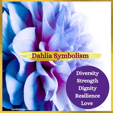 Dahlia – Meaning and Symbolism - Symbol Sage