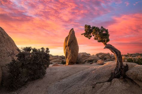 Photo Notes: Penguin Rock in Joshua Tree National Park