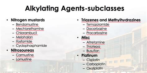 alkylating agents - Google Search | Agents, Search