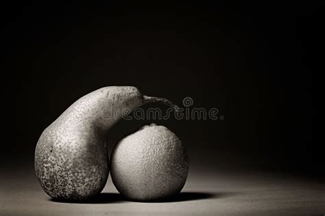 Grey Fruits On A Black Background Stock Photo - Image of backgrounds, grey: 43899758