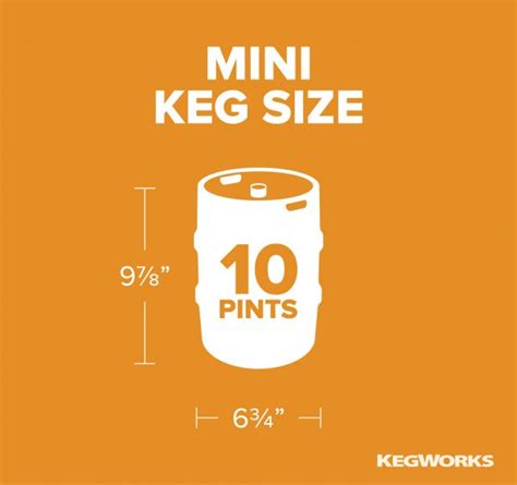 Guide to Beer Keg Sizes and Dimensions