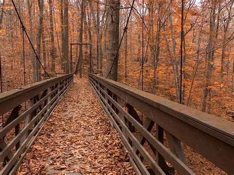 10 Amazing Hiking Trails In Northeast Ohio