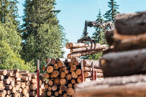 Timber Truck Logging Forestry Operations Free Stock Photo | picjumbo