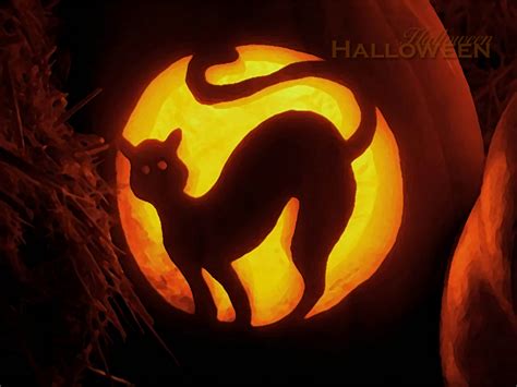 Free download Black Cat Halloween Wallpaper [1024x768] for your Desktop ...