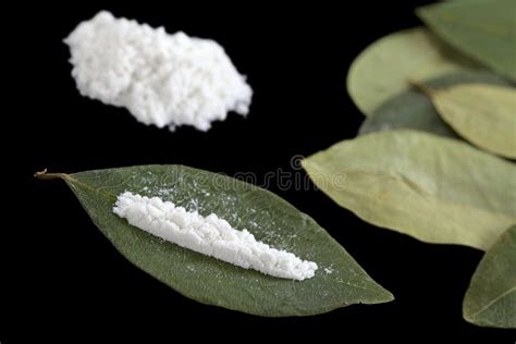 Cocaine Powder on Coca Leaf Stock Photo - Image of drug, coca: 46614894