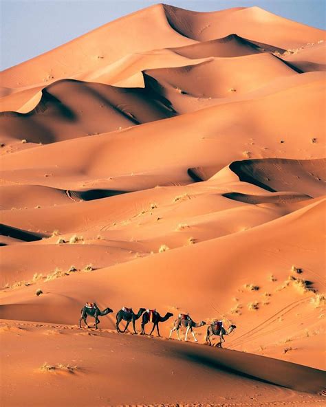 Moroccan Sahara, Morocco, Desert, Travel, Tourist Attraction, Sightseeing Spots, Superb Views ...