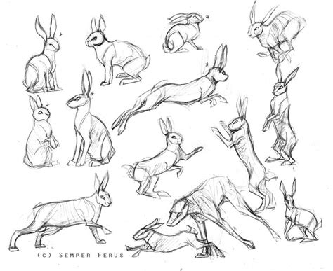 Sketches - Hares/Rabbits by SemperFerus on DeviantArt in 2020 | Animal drawings, Rabbit drawing ...