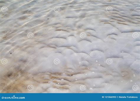 Dead Sea Salt at the Dead Sea Stock Image - Image of relax, environment: 121066993