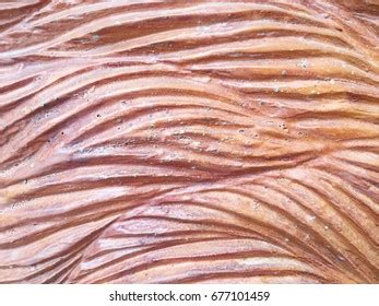 Carved Wood Wall Close Thai Style Stock Photo 677234716 | Shutterstock