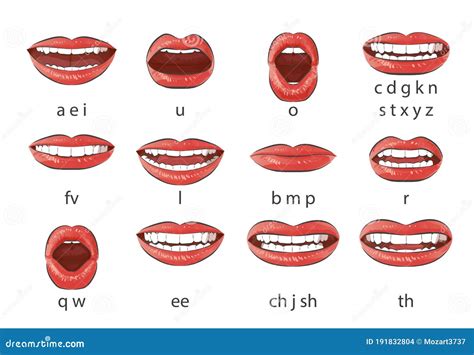 Phonemes Mouth Chart Animation Reference Anatomy Reference Art – NBKomputer