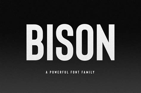 Bison Font Family - Dafont Free