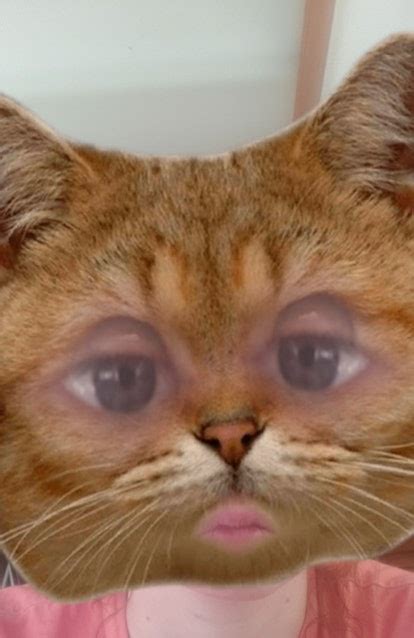 Get A Cat Face Filter On Snapchat That's Super Realistic