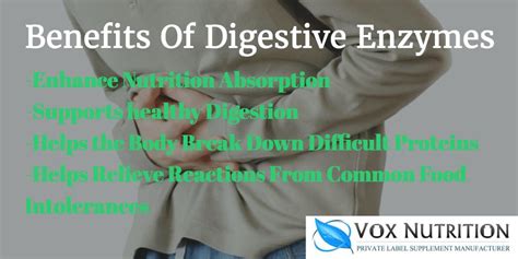 Introducing Our New Private Label Digestive Enzyme | Vox Nutrition