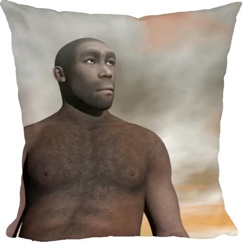 Pillow of Male Homo Erectus, an extinct species of hominid