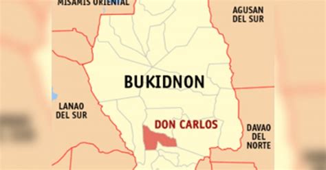 NPA attacks Bukidnon pineapple plantation | Philippine News Agency