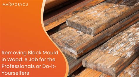 Removing Black Mould in Wood: A How To Guide | MaidForYou