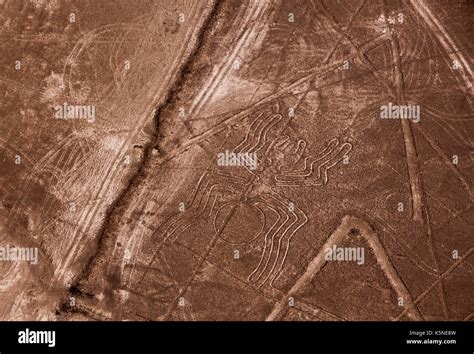 Spider, Nazca lines, Peru Stock Photo - Alamy