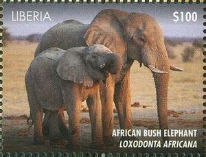 Stamp: African Bush Elephant (Loxodontia africana) (Liberia(Wildlife of Africa (2015)) Mi:LR 6750