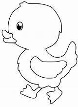 Duckling coloring pages  ColoringLib sketch template