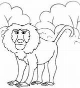 9 Sweet And Cute Baboon Coloring Pages For Children  sketch template