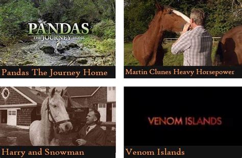 50 Netflix Shows & Documentaries For Animal Lovers