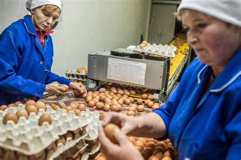 Ukraine’s Egg Producers - The New York Times