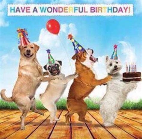 Pin by dawn Hackworth on Pet birthday | Dog birthday wishes, Happy birthday dog meme, Funny ...