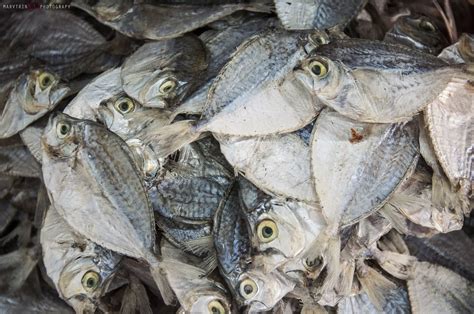 Danggit (Dried Salted Fish) | Taboan Market, Cebu, Visayas P… | Flickr