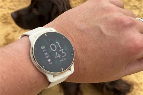 Garmin Venu 2 Plus Smartwatch Review: Improve Your Fitness With Style | GearJunkie