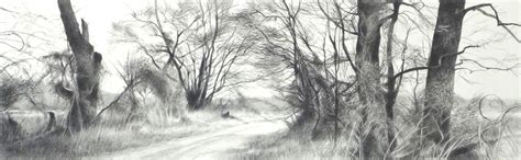 Trees and Vines charcoal pencil on paper jeanne seagle | Vine charcoal ...