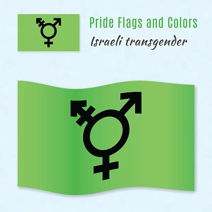 Israeli Transgender And Genderqueer Pride Flag With Correct Colo Stock Illustration - Download ...