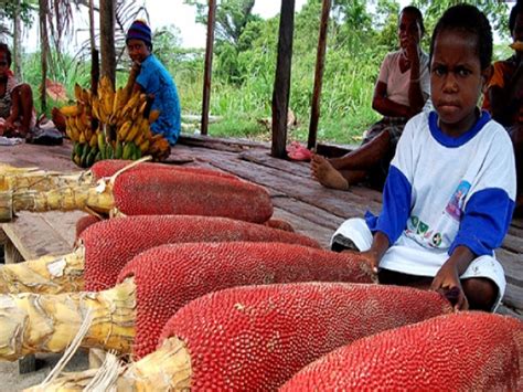 Manfaat Buah Merah - Dinas Kesehatan Kabupaten Jayapura