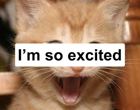 Excited Cat Meme Generator - Piñata Farms - The best meme generator and ...